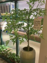 -S庆熙美学皮肤管理