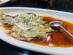 桂鱼-金地利海鲜酒楼(清凉门店)