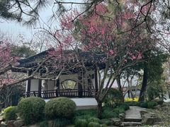 -秋霞圃
