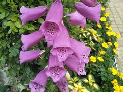 -云南民族大观园