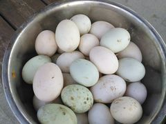 -锦江中华村农家乐饭庄
