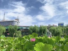 -莲湖公园