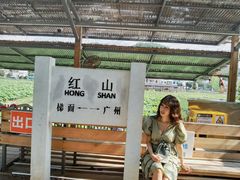 -红山村