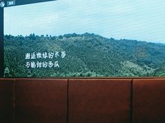 -饭怕鱼(阳光100店)