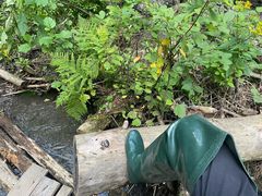 -峡谷浮石林景区