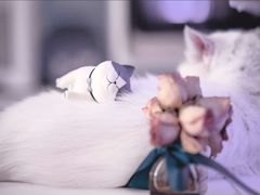 -平行世界·猫咖(首经贸店)
