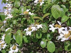 -广州神农草堂中医药博物馆