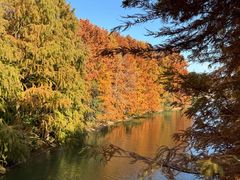 -上海海湾国家森林公园