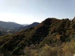-大岭沟猕猴桃谷风景区
