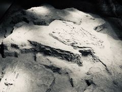 -侵华日军南京大屠杀遇难同胞纪念馆