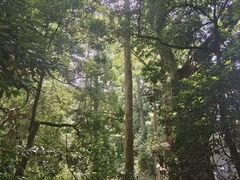 -南华寺素食馆(南华禅寺店)