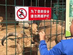 -保定市动物园