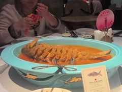 -阿五黄河大鲤鱼(英协路店)