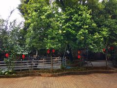 -城林園·老滇味