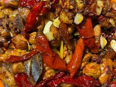 -柴窝堡22号辣子鸡·传承新疆菜