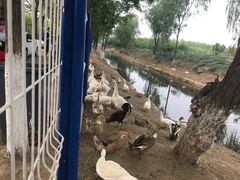 -东郊湿地公园