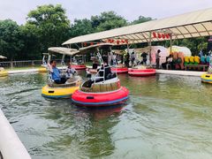 -上海海湾国家森林公园