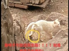 -昆明动物园
