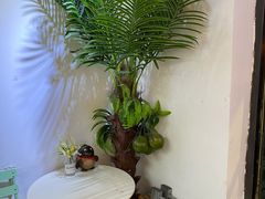 -津椰本·海南正宗椰奶清补凉(店一店)