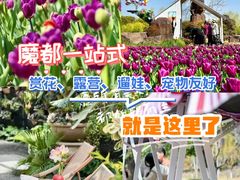 -上海鲜花港