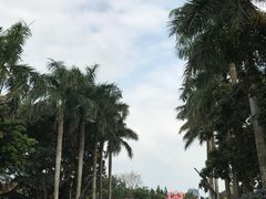 -万绿园