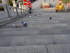 -龙口南山旅游景区