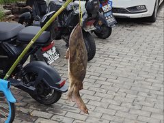 -清真-戏楼王记牛肉面
