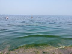 -金梦海湾浴场