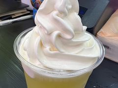 -萨朗刀克冰淇淋雪花凉(植物园店)