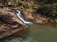 -广州白江湖森林公园