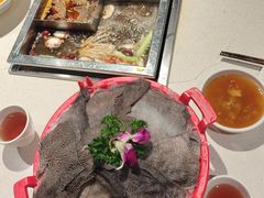 -红鼎坊·老成都火锅(新南门店)