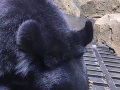 -波塞冬旅游度假区