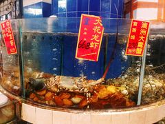 -龙的酒楼·手工早茶·顺德菜(近良路店)