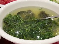 -上海市保健医疗中心(华东疗养院)