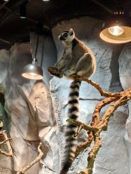 -Zoolung Zoolung动物主题公园(海信广场店)