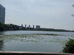 -潜龙渠公园