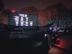 -枫花园汽车电影院(朝阳公园店)