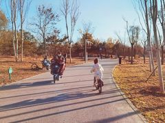 -东郊湿地公园