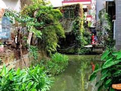 -小洲村
