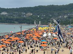 -大梅沙海滨公园