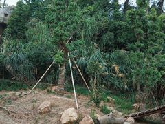 -宁波野生动物园