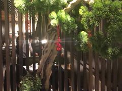 -老头儿油爆虾(星光一期店)