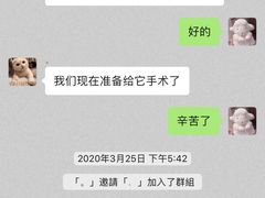 -创凡宠物医院·骨专科  猫科中心(西乡分院)