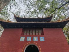 -普陀山风景名胜区-法雨禅寺