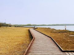 -西青郊野公园