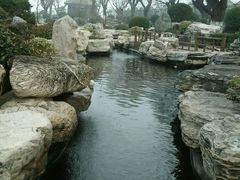 android_upload_pic-中国唐苑