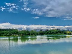 -东郊湿地公园