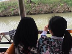 -大湾区中央湿地公园