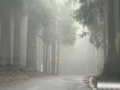 -山王坪喀斯特国家生态公园