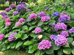 -常州古运河南大街文化旅游区-人民公园